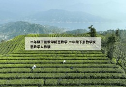 二年级下册教学反思数学,二年级下册教学反思数学人教版