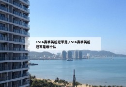 1516赛季英超冠军是,1516赛季英超冠军是哪个队