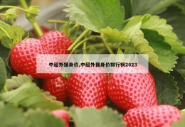 中超外援身价,中超外援身价排行榜2023