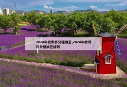 2024年欧洲杯分组抽签,2024年欧洲杯分组抽签规则