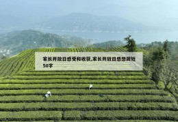 家长开放日感受和收获,家长开放日感想简短50字