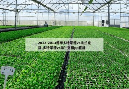 2012-2013德甲多特蒙德vs法兰克福,多特蒙德vs法兰克福pp直播