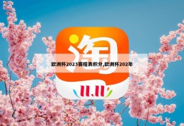 欧洲杯2023赛程表积分,欧洲杯202年