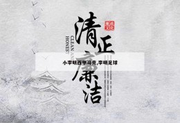 小李明西甲马竞,李明足球