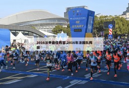 2016法甲最佳阵容,2016年法国队阵容